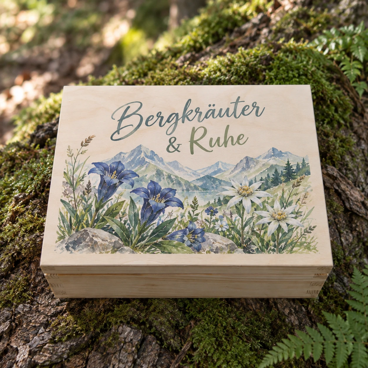 Teebox Holz 6 Fächer – Farbdruck Bergkräuter und Ruhe