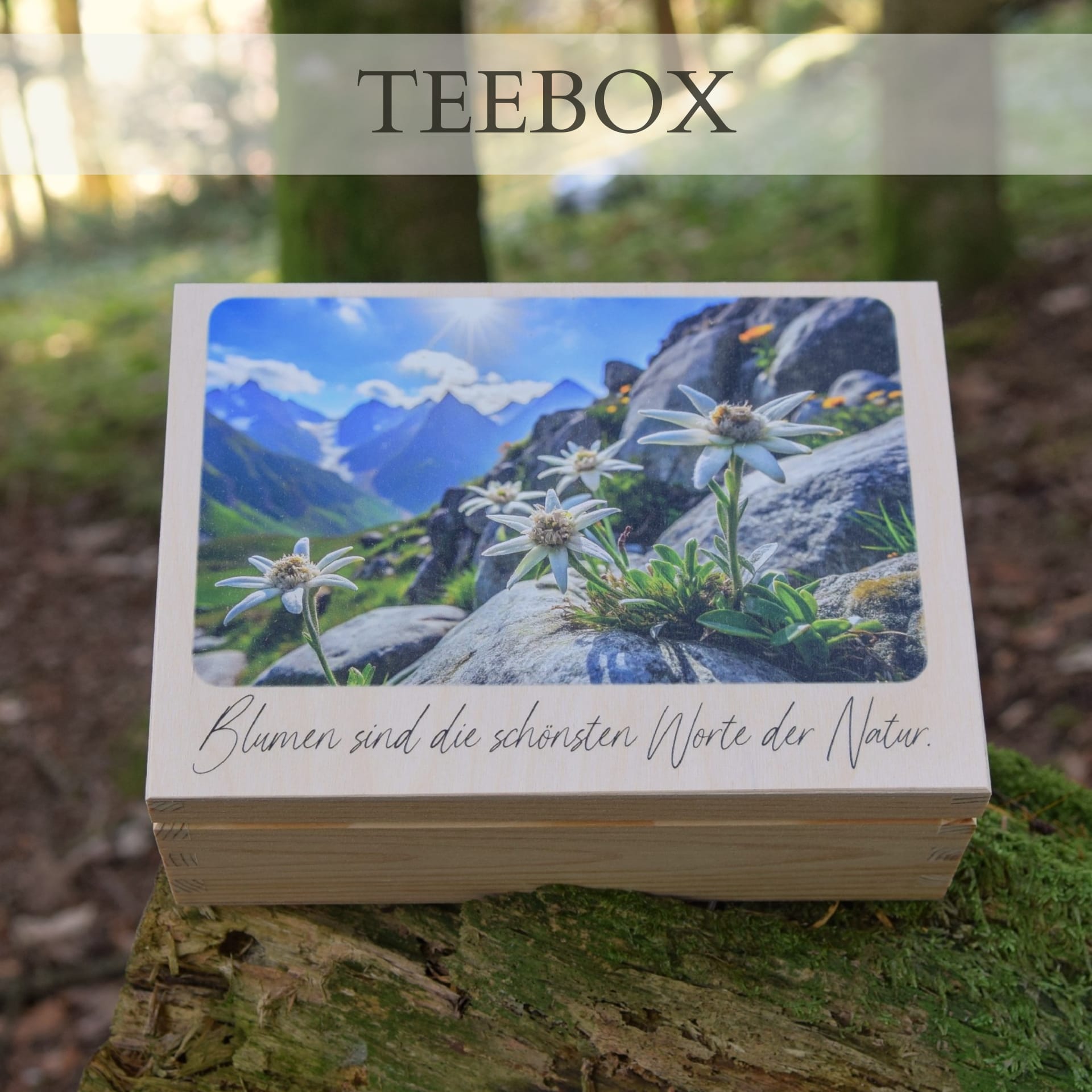 Teebox aus Holz mit 6 Fächern – Gestaltungsbeispiel